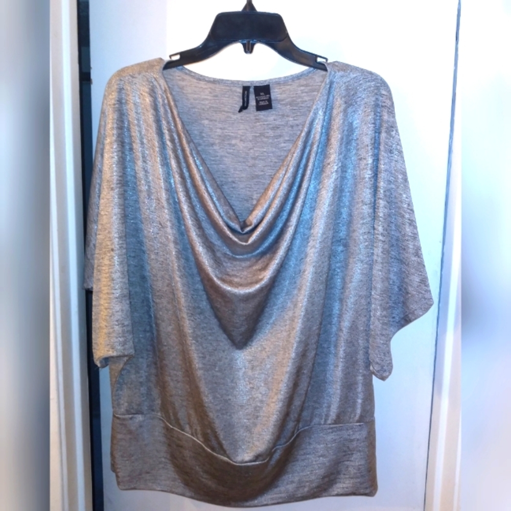 Shimmering Silver Top